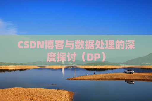 CSDN博客与数据处理的深度探讨（DP）