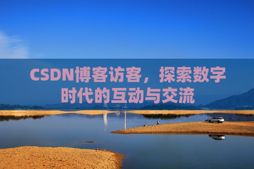 CSDN博客访客，探索数字时代的互动与交流