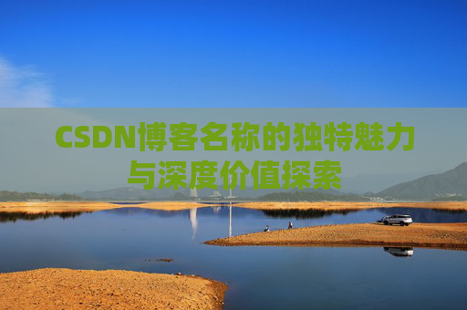 CSDN博客名称的独特魅力与深度价值探索